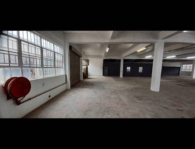 1,000M² WAREHOUSE TO LET IN NEW GERMANY